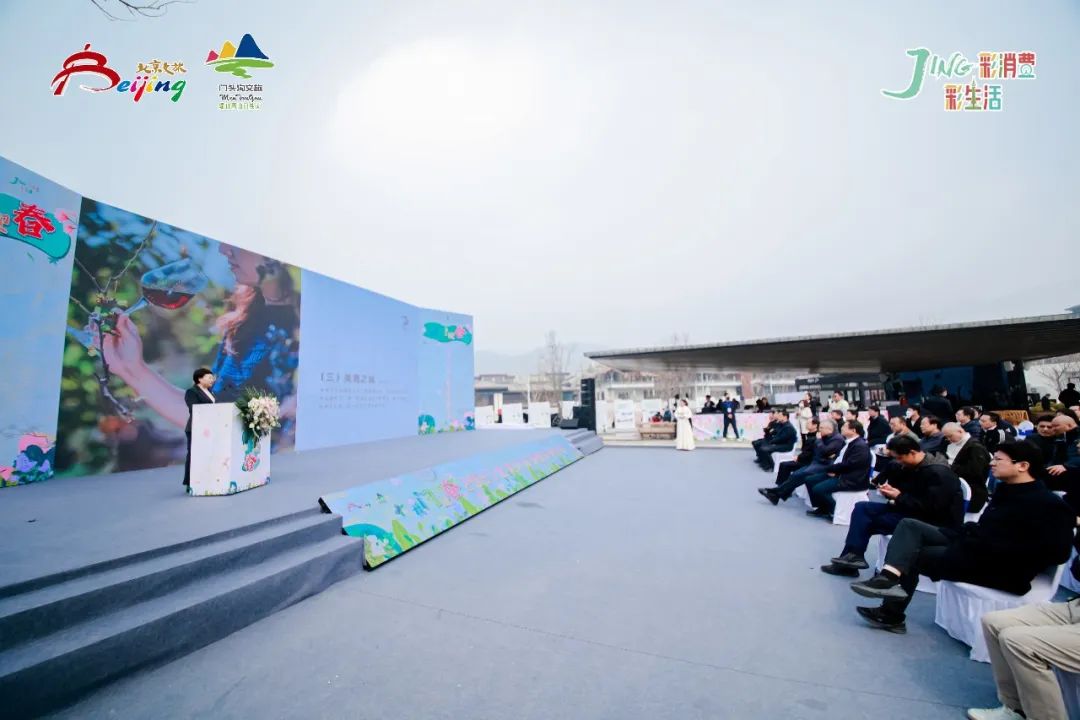 1679454319177969.jpg 1679454319177969.jpg