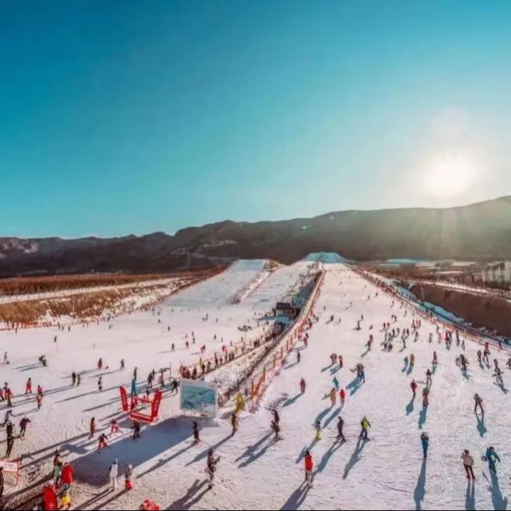 1700750666394347.jpg 1700750666394347.jpg